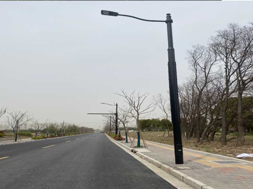 望花区上海综合杆 太阳能路灯工程